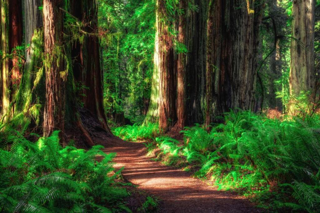 Bear Mountain - Suite 6 Grants Pass Exteriér fotografie